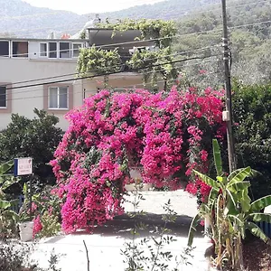 rose-apart.turkeyfethiyehotels.com/