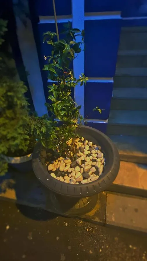 La Petite Maison Hotel Стамбул